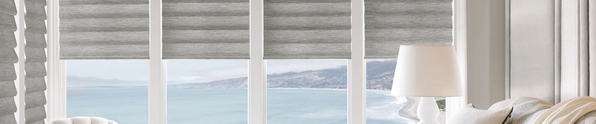 Window Shades & Blinds