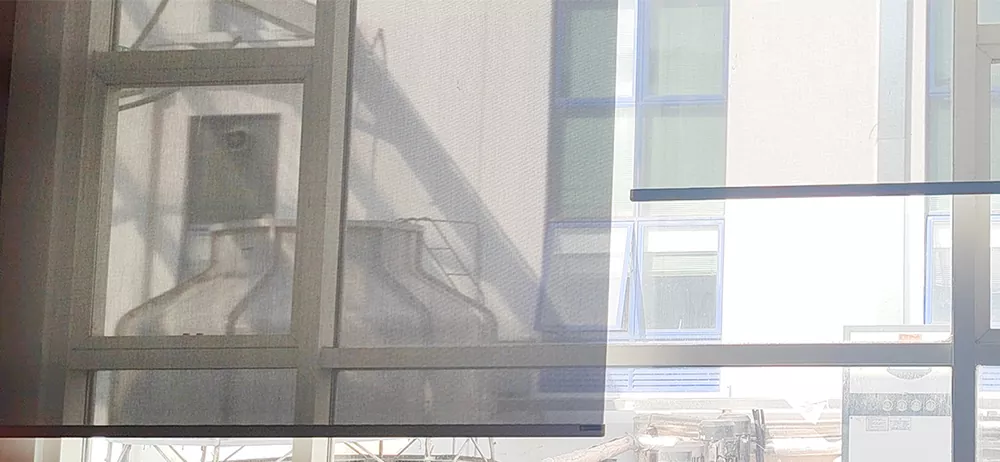 Window Shades