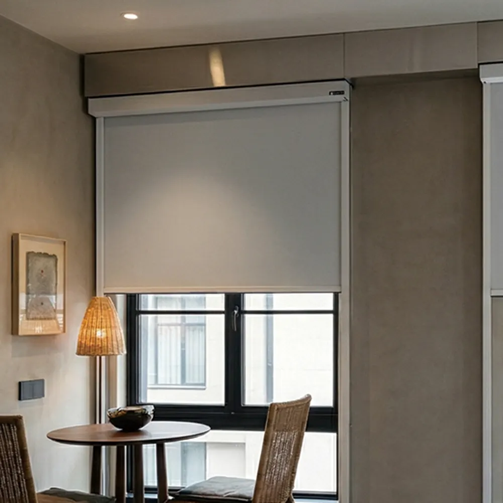 Blackout Roller Shades