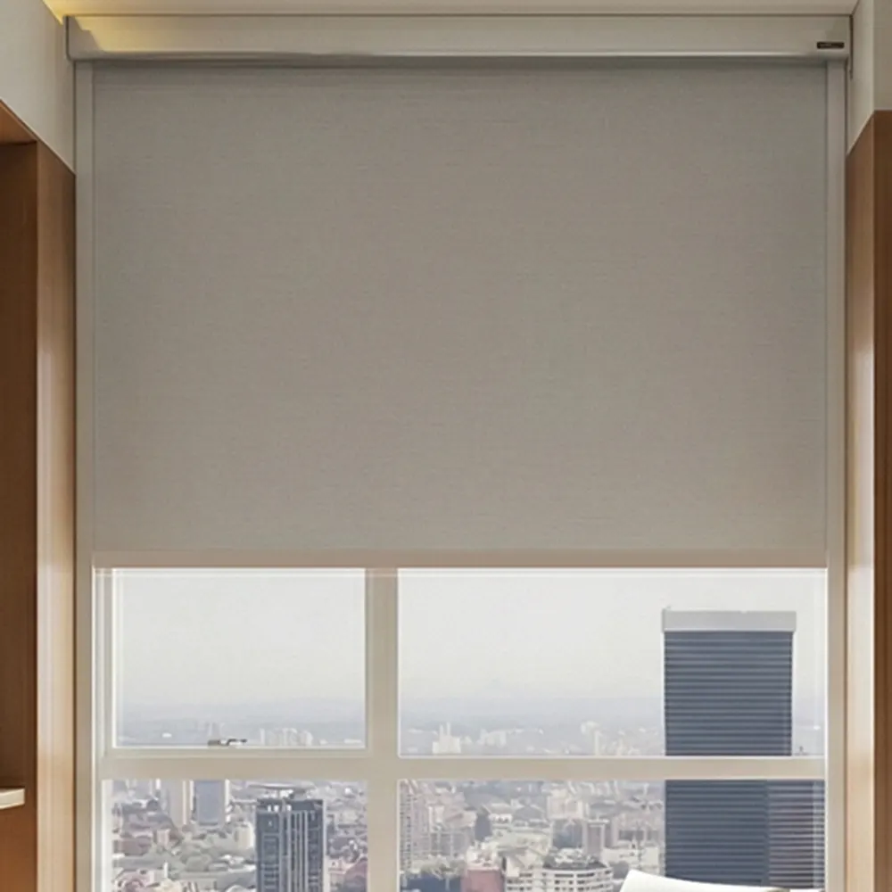 Blackout Roller Shades