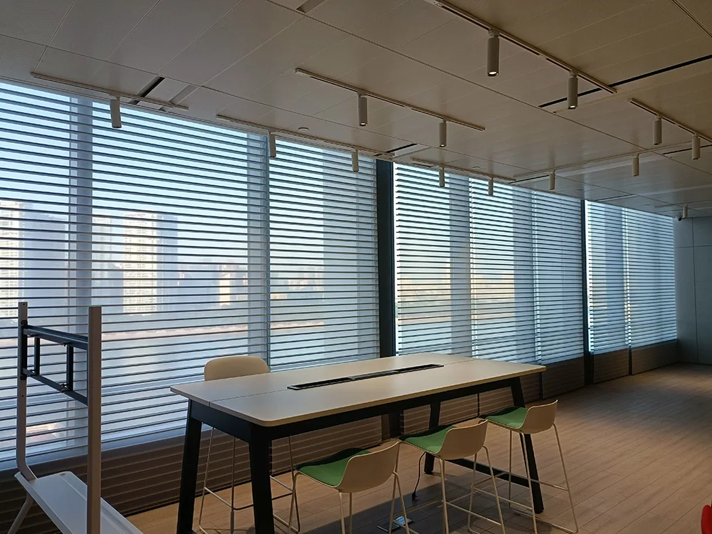 Custom Size Triple Roller Sheer Shades