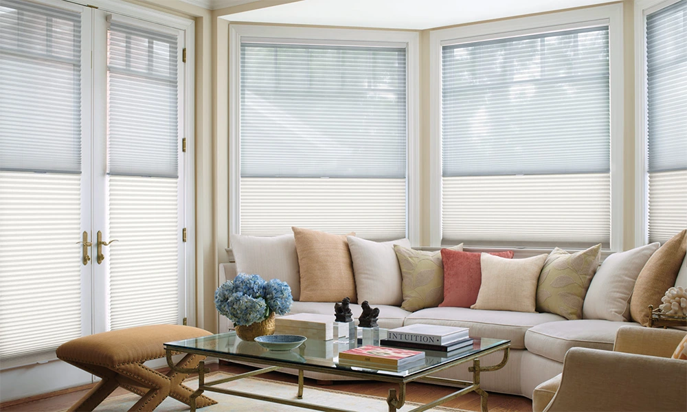 Day and Night Honeycomb Shades