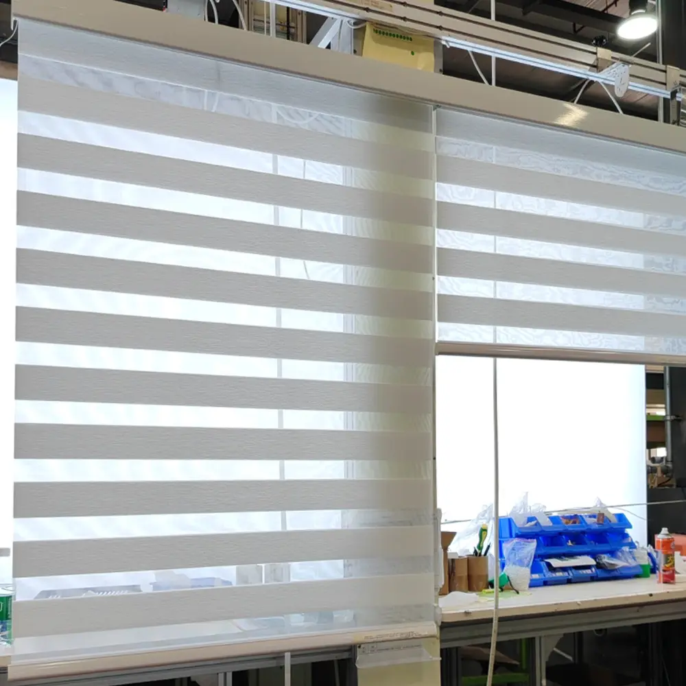 Dual Layer Room Darkening Blackout Zebra Blinds