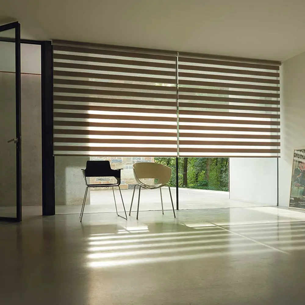 Dual Layer Room Darkening Blackout Zebra Blinds
