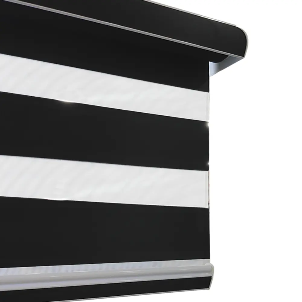 Dual Layer Room Darkening Blackout Zebra Blinds