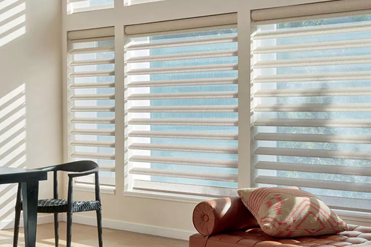Motorized Project Shades