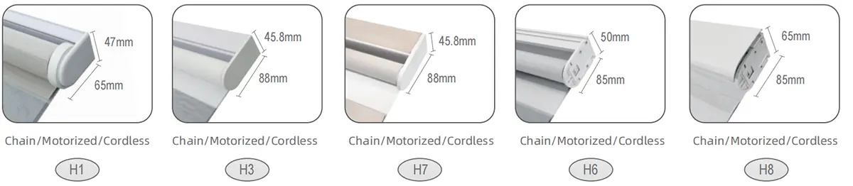 ROLLERGY Cordless Zebra Blinds