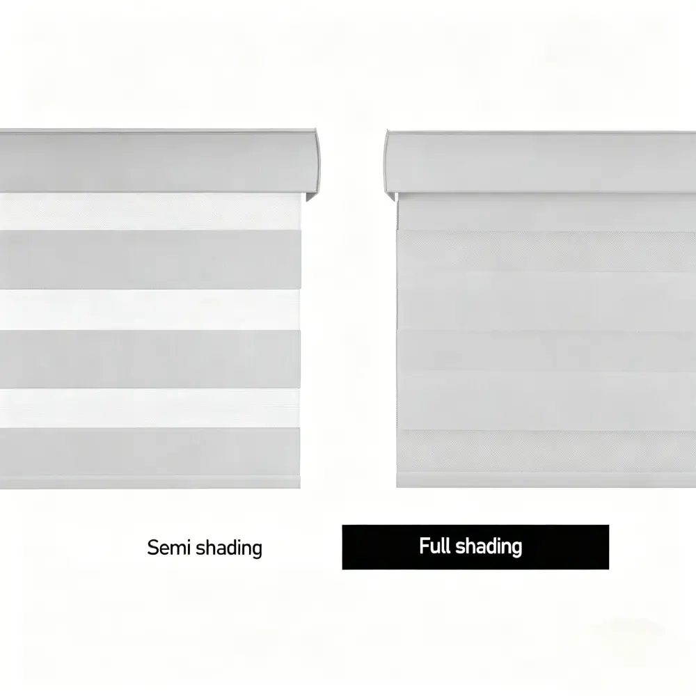 Day and Night Zebra Shades for Privacy