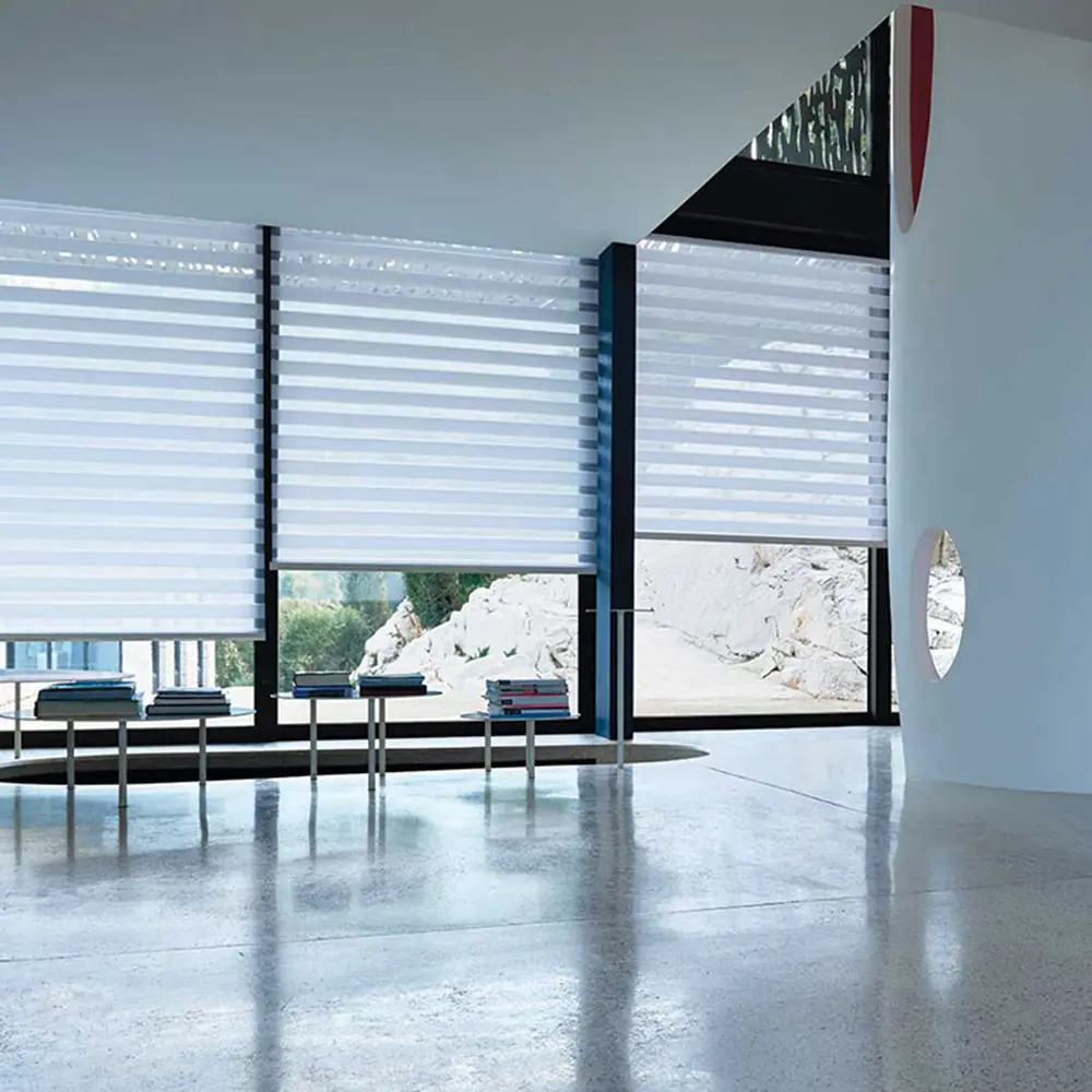 Day and Night Zebra Shades for Privacy
